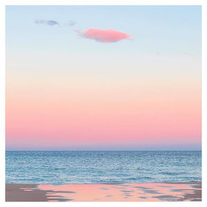 Meet your Posher, Lily